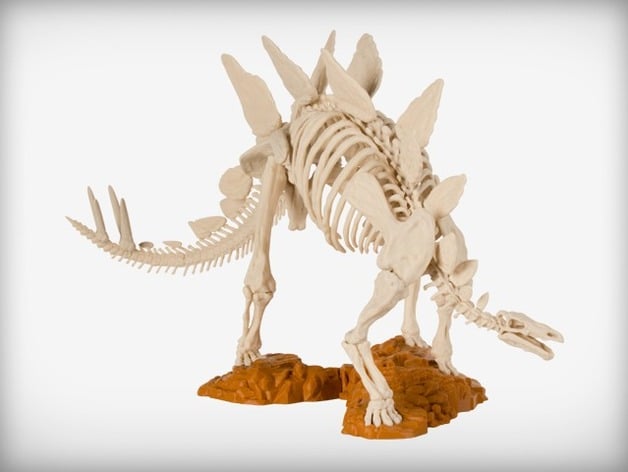 Stegosaurus Skeleton