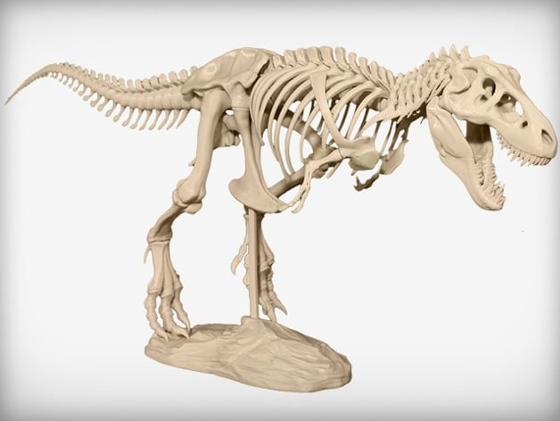 T - Rex Skeleton