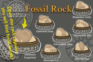 Fossil Rock