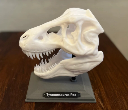 3D Printed T-Rex Skull and Stand – Smart School Prints