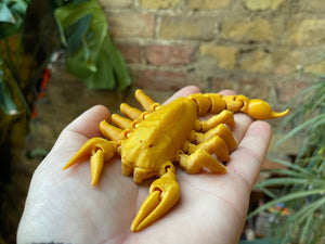 Scorpion Flexible 3D Print Articulated Fidget