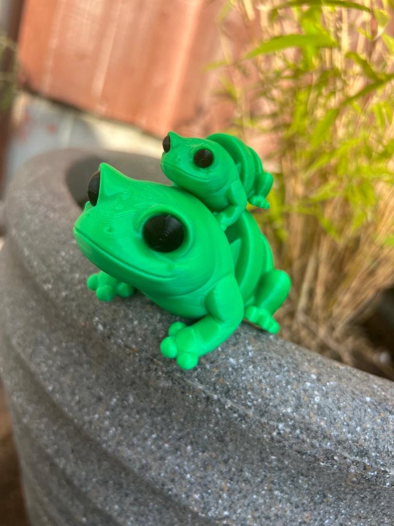 Articulated Frog 3D Printed Fidget Toy