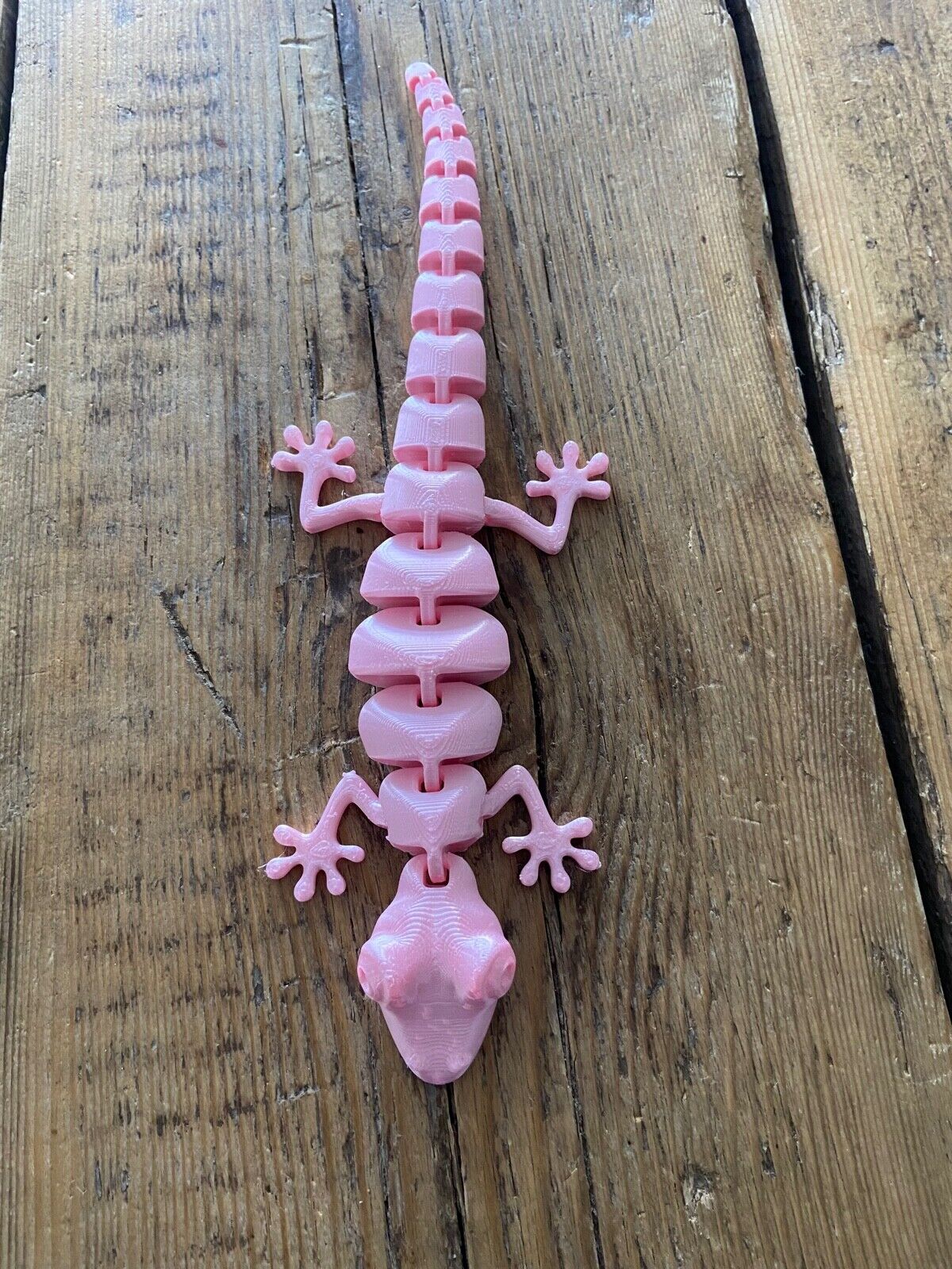 Articulated Lizard 3d print Fidget Toy