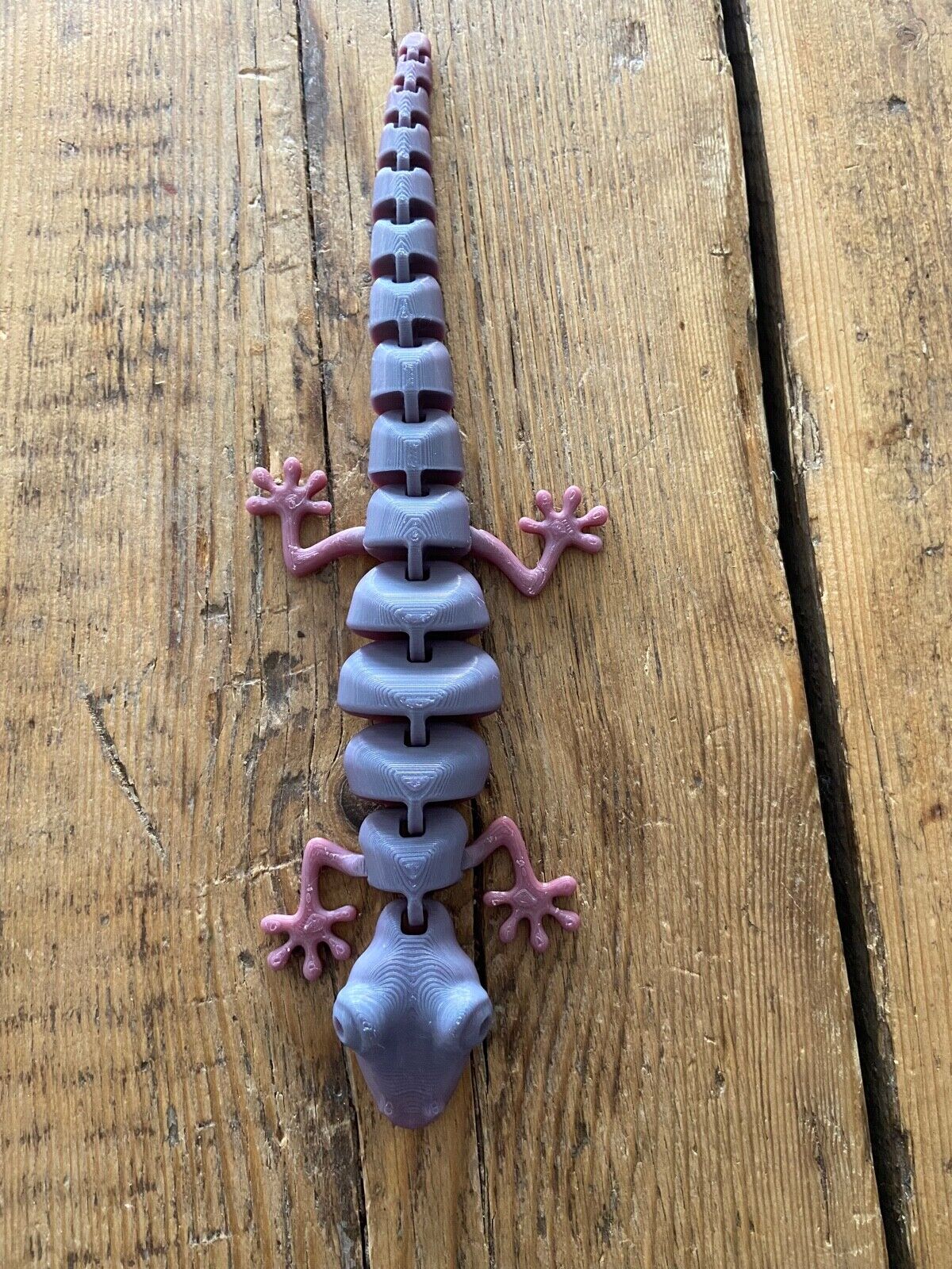 Articulated Lizard 3d print Fidget Toy