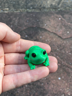 Articulated Frog 3D Printed Fidget Toy