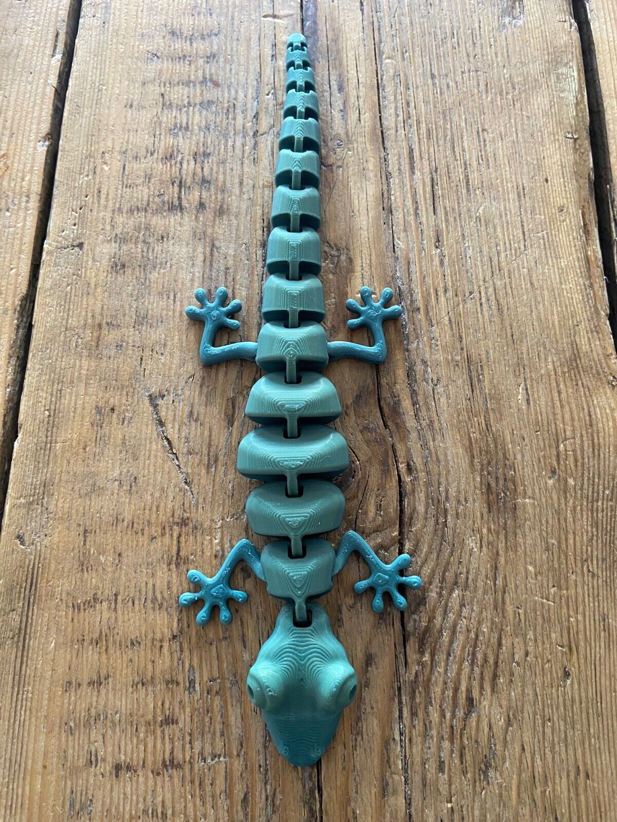 Articulated Lizard 3d print Fidget Toy