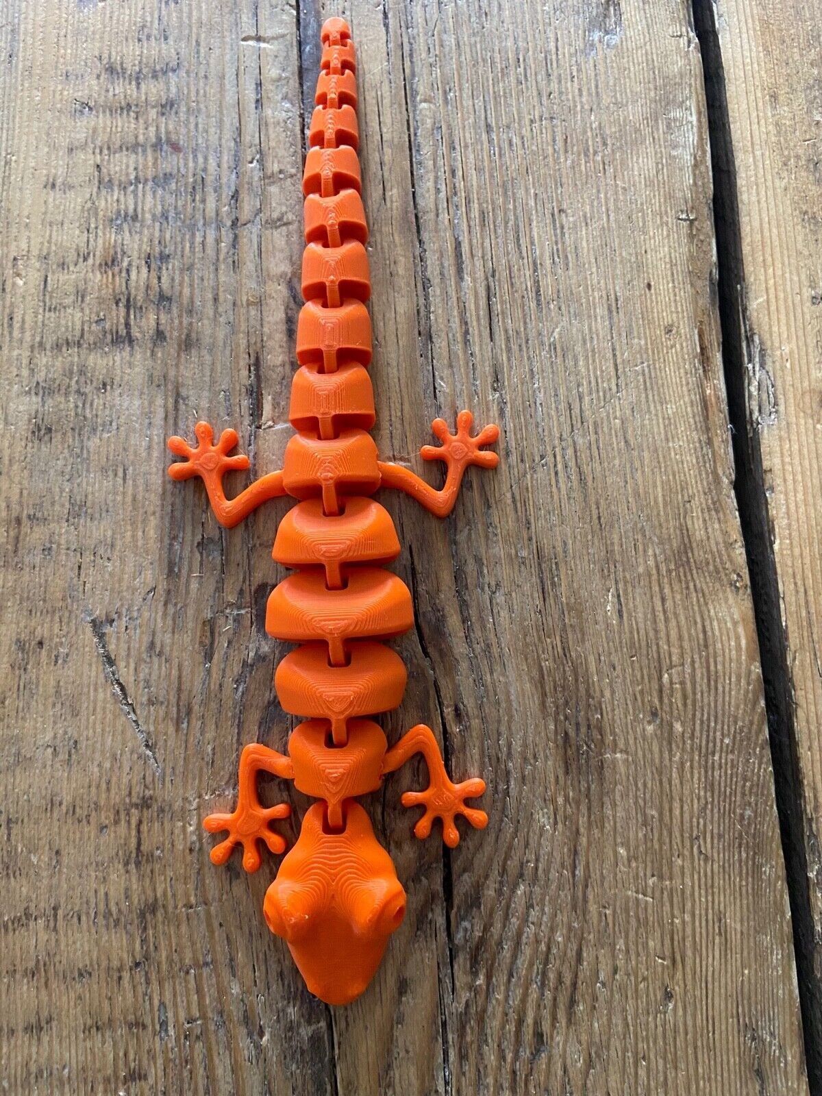 Articulated Lizard 3d print Fidget Toy