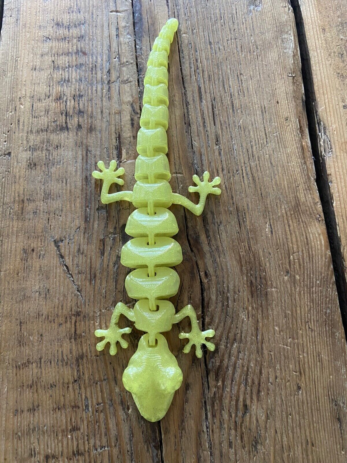 Articulated Lizard 3d print Fidget Toy